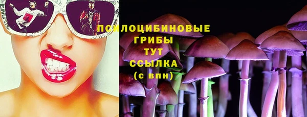 трава Аркадак