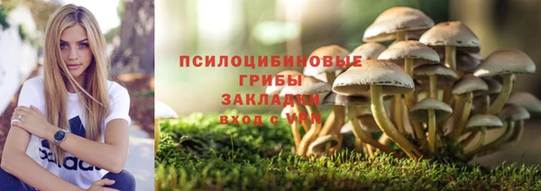гидропоника Армянск