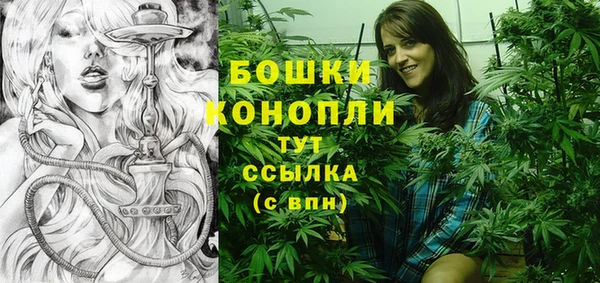 трава Аркадак