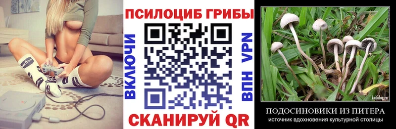 omg вход  Каспийск  Псилоцибиновые грибы ЛСД 